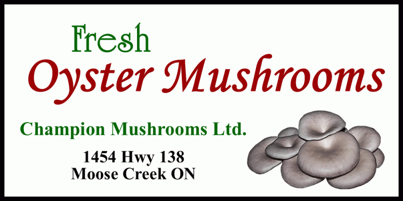 Champion Mushrooms Ltd.